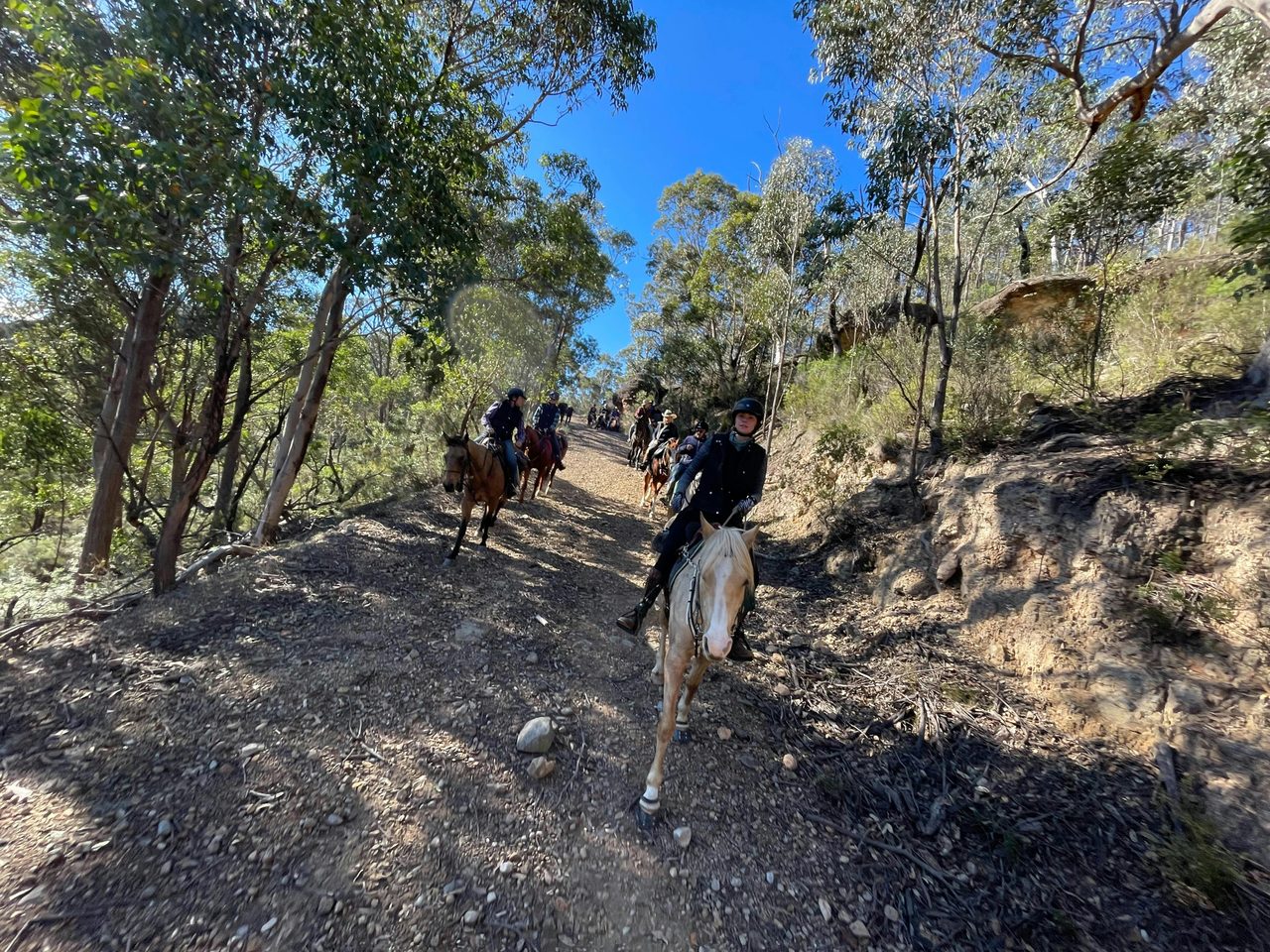Belanglo Forest Adventures