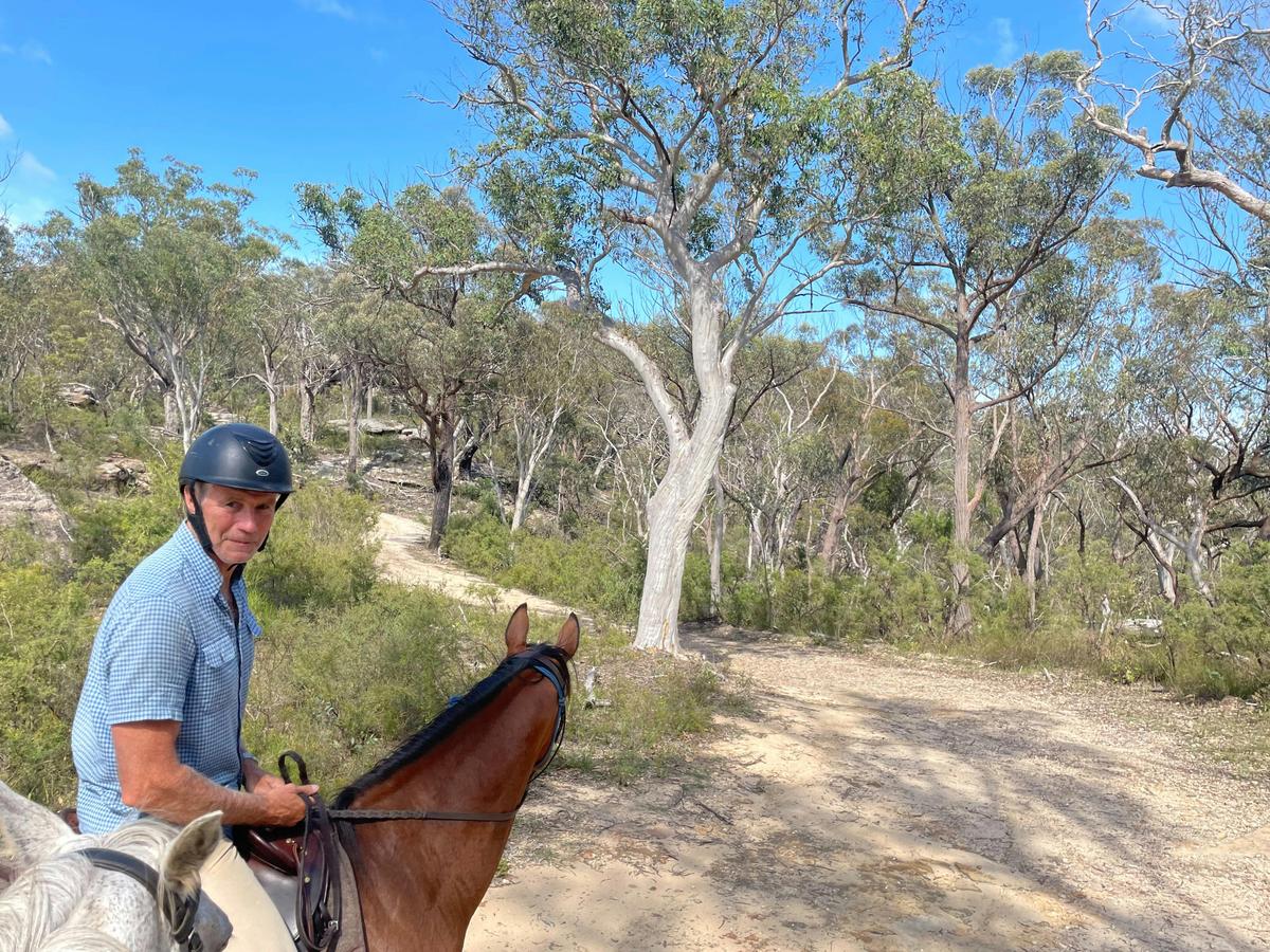 Belanglo forest trail