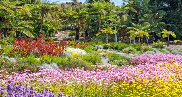 Great Macarthur Drive Escorted Group Tour