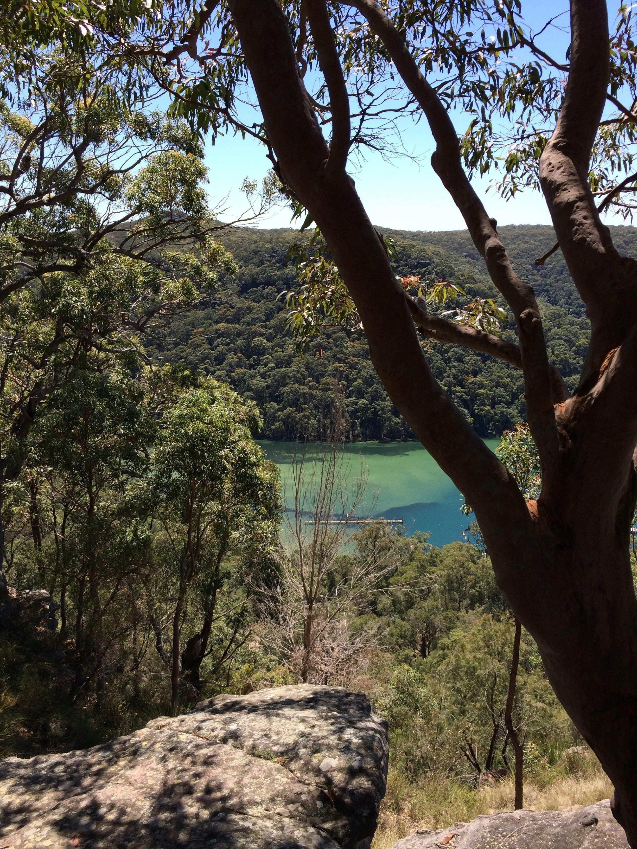 One of the beautiful views from a bushwalk up Towlers Bay Track from Halls Wharf