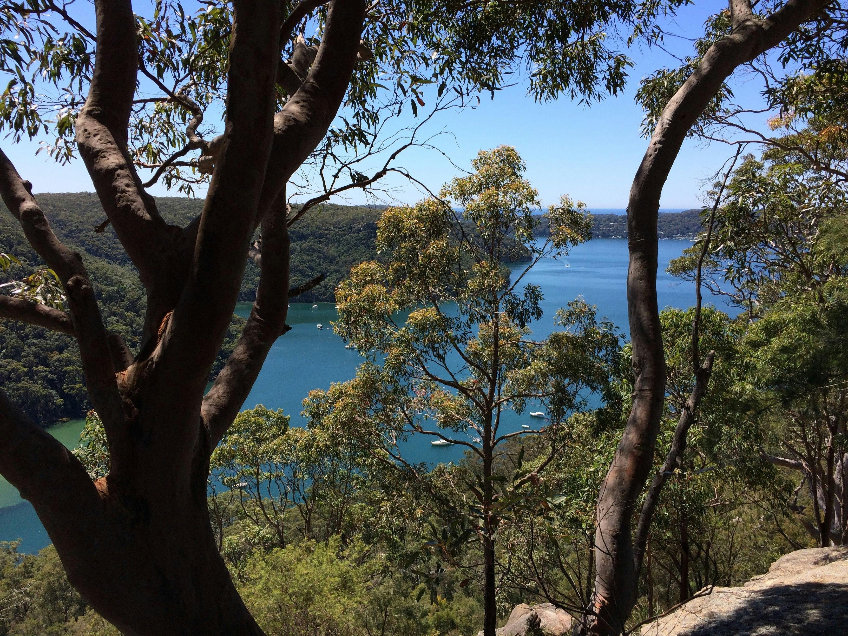 View from the walk along Elvina Bay Track
