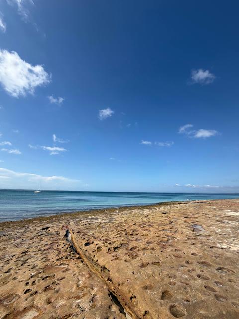 Jervis Bay Dolphin Discovery Cruise & Beachside Experience