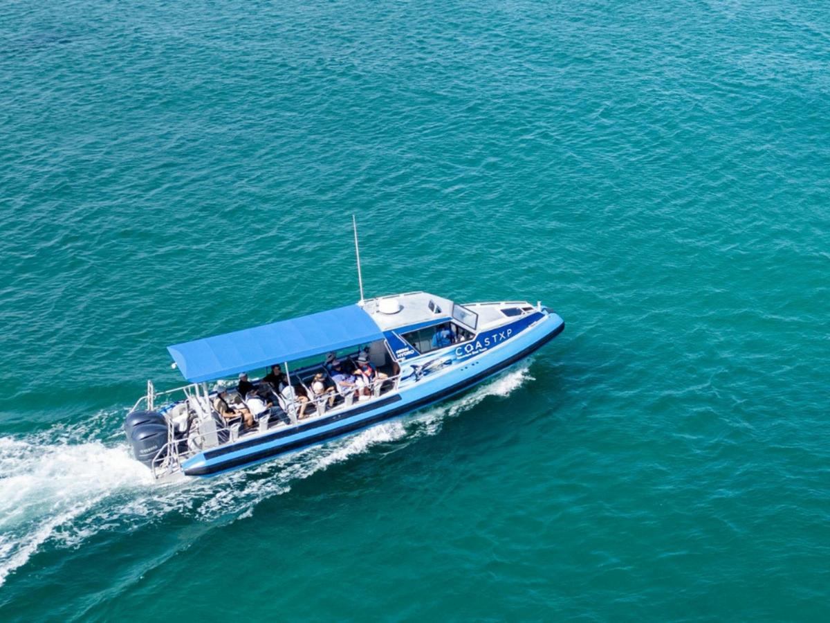 TINTA Lunch Tour Package