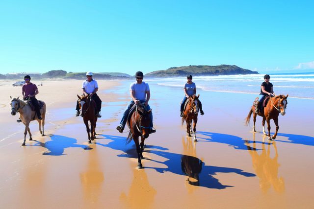 HWH Stables - Riding School and Trail Rides