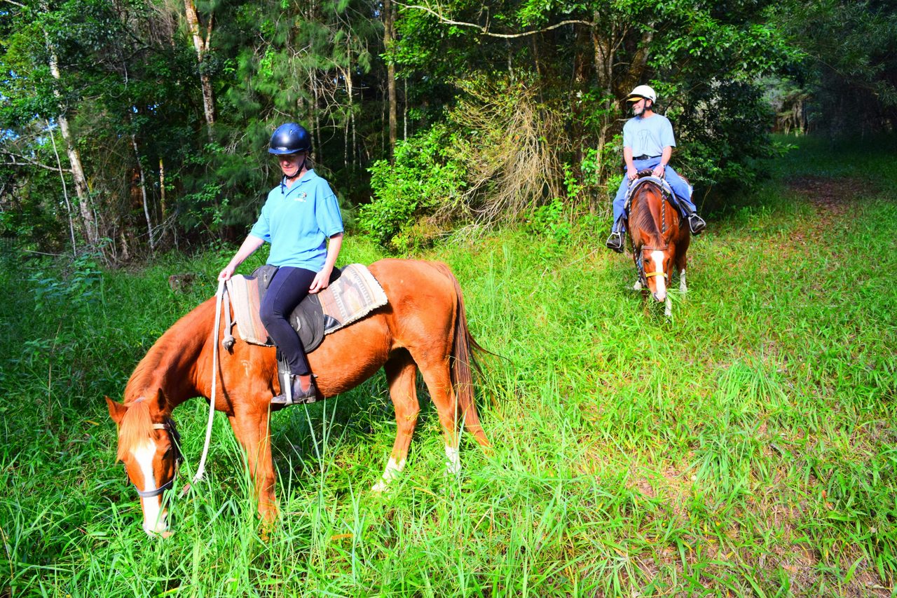 Rainforrest Ride