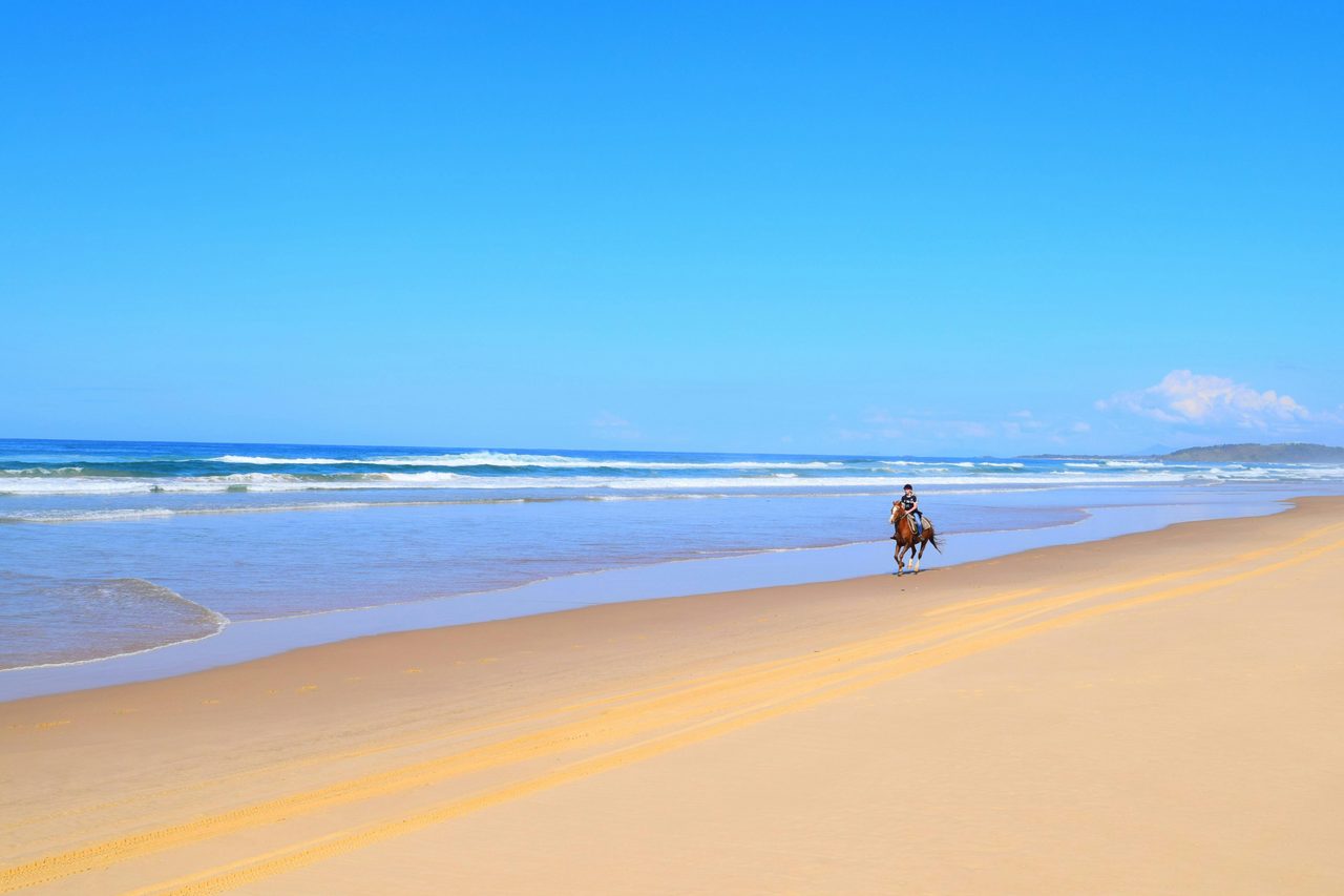 Beach Riding