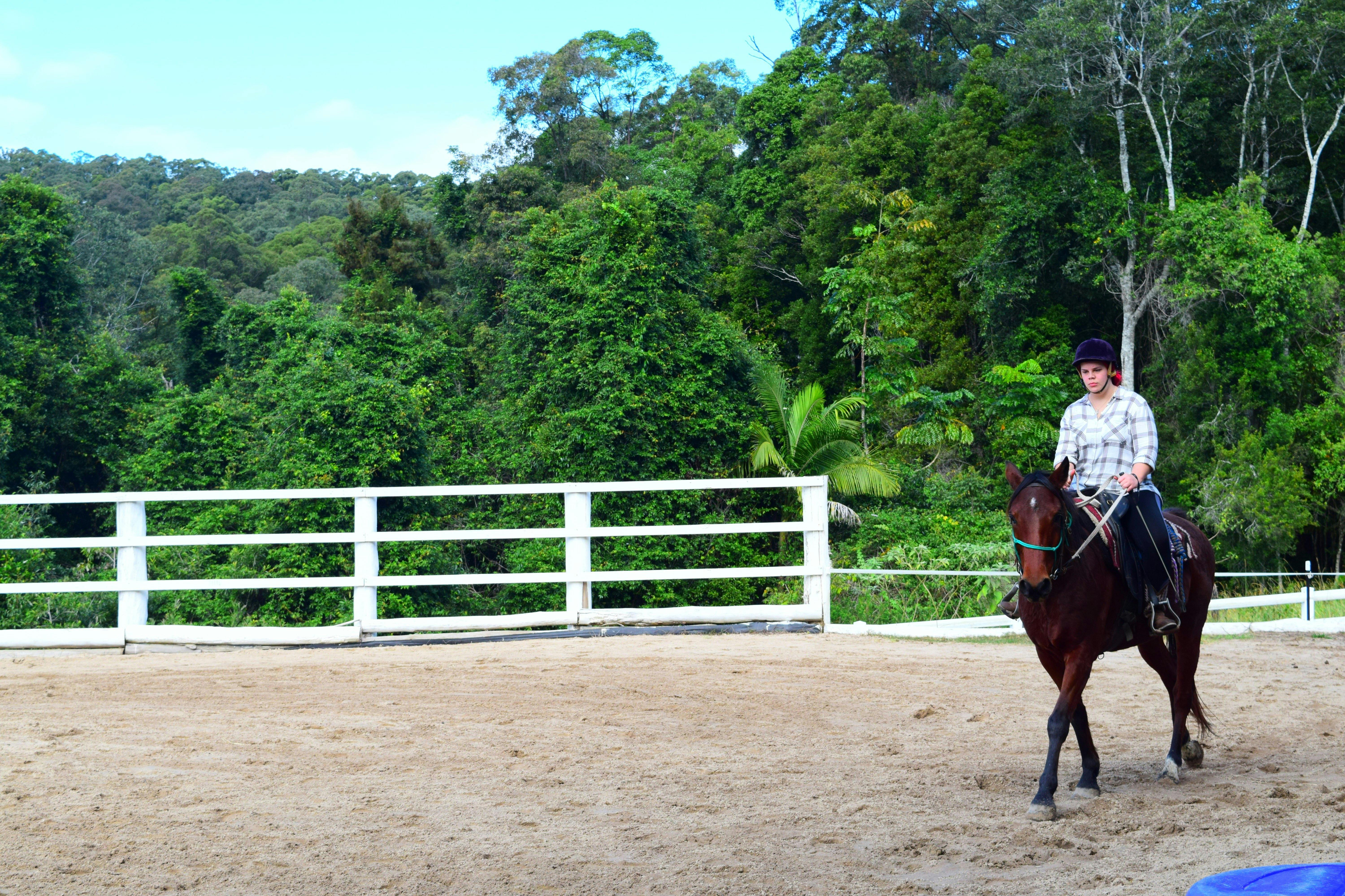 Riding School