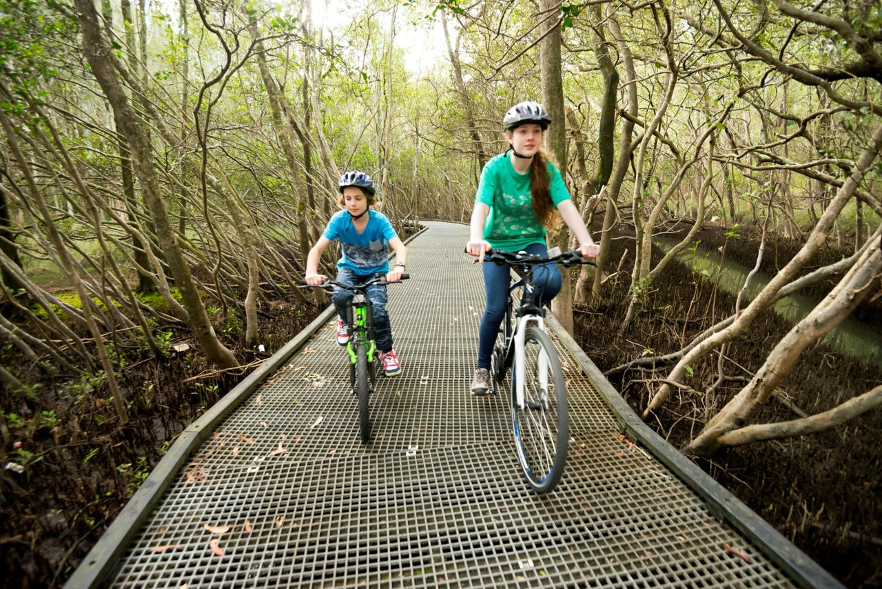 Coffs Creek Loop