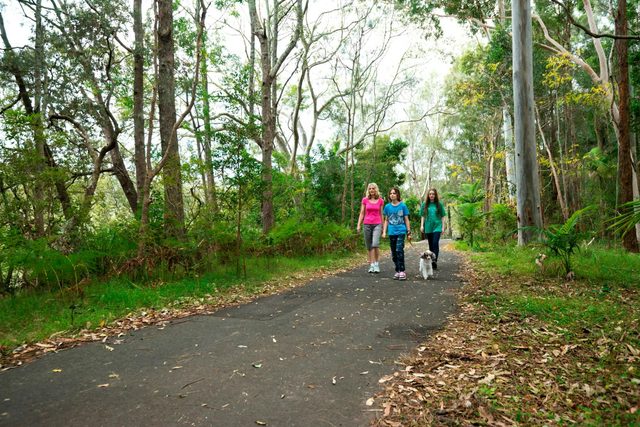 Coffs Creek and Harbour Loop