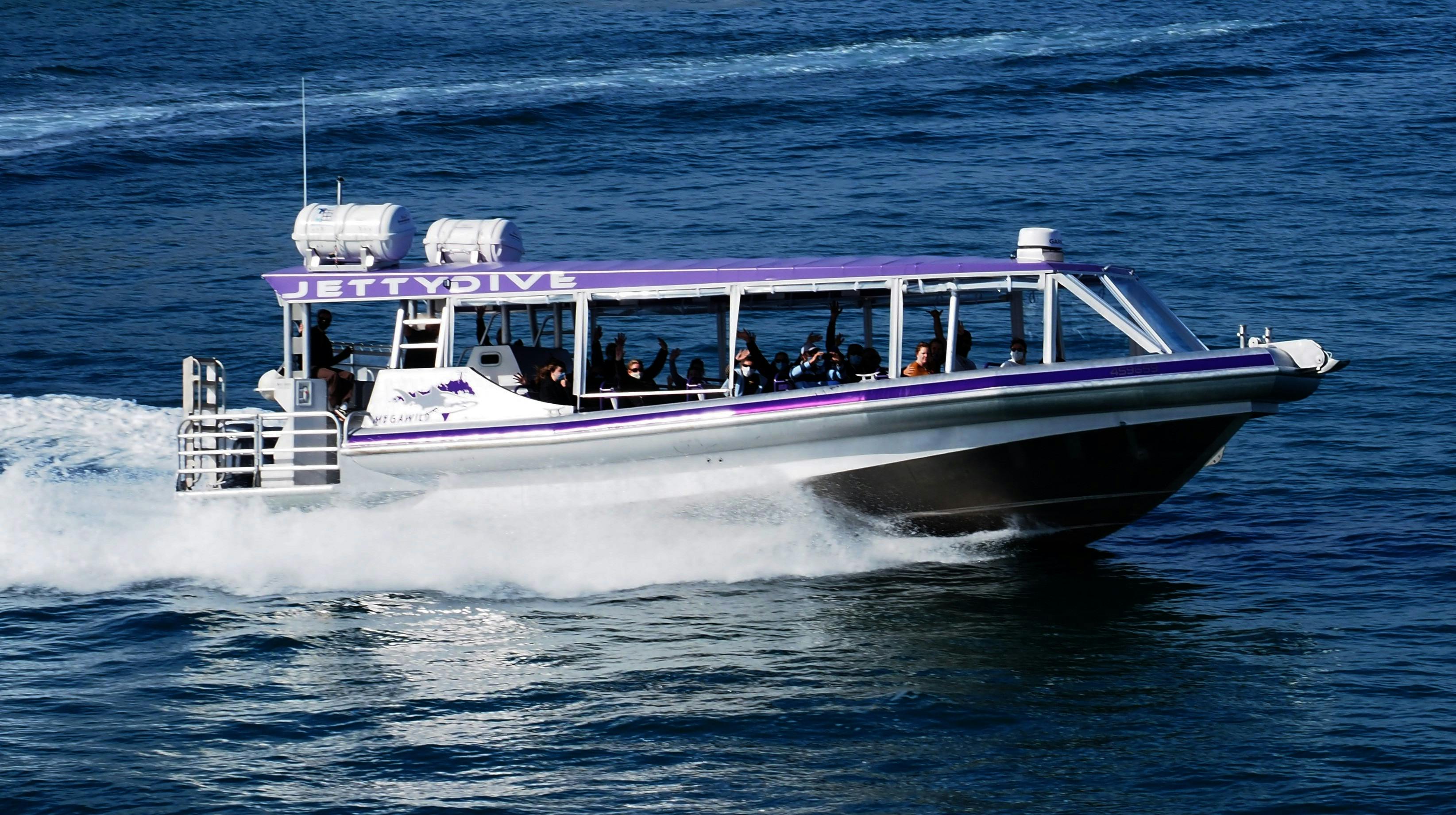 MegaWild purpose built Dive and Whale Watching boat