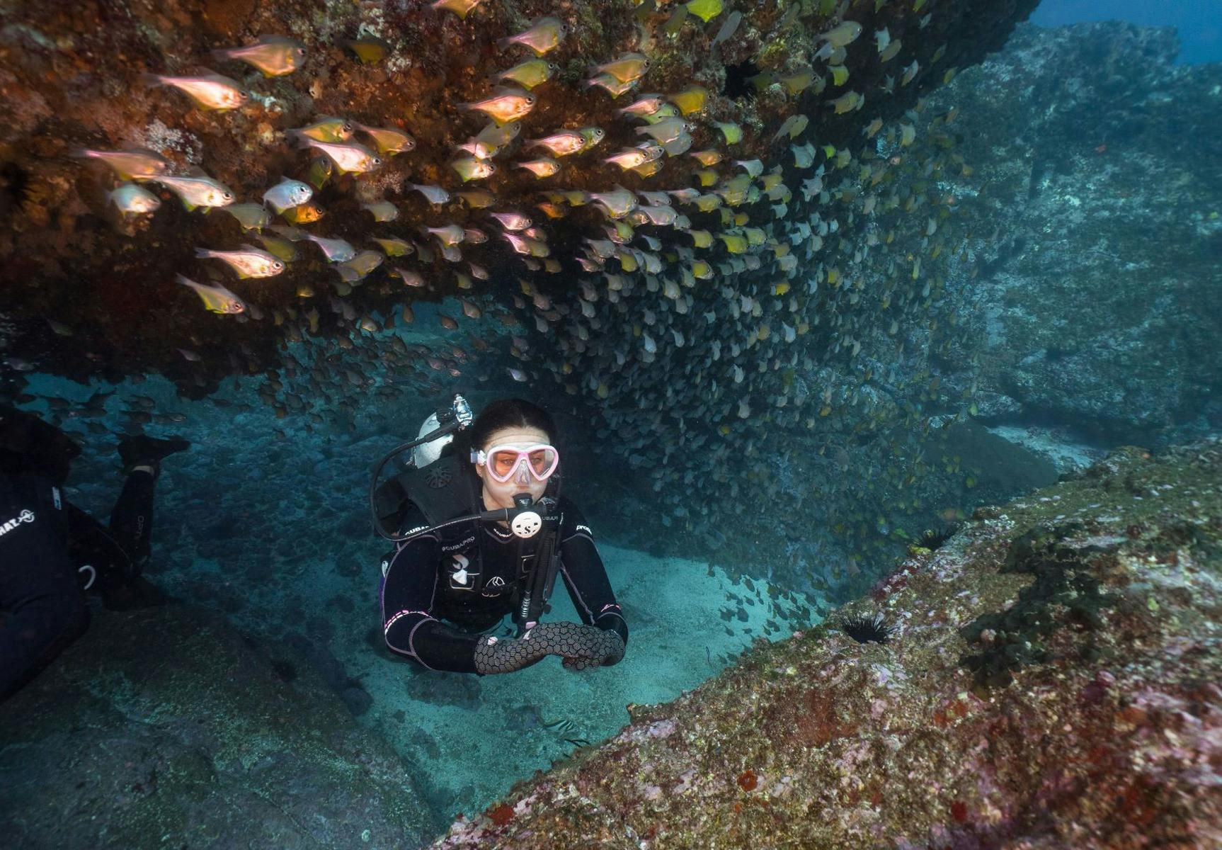 Diver cruising out of Manta Arch