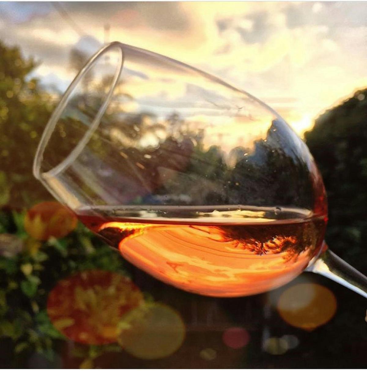 Awesome place to taste some beautiful wines