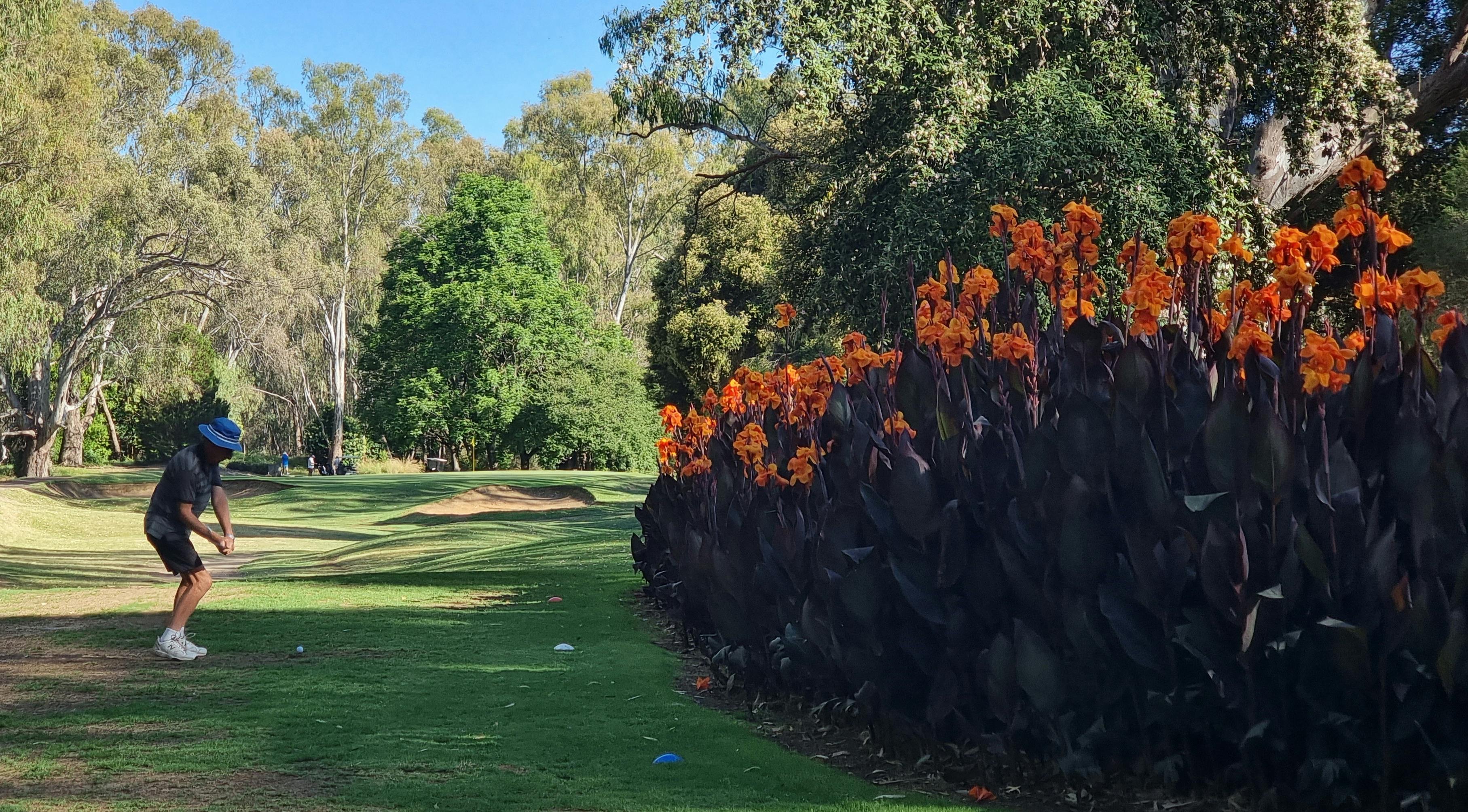Hitting of 11th hole at Corowa