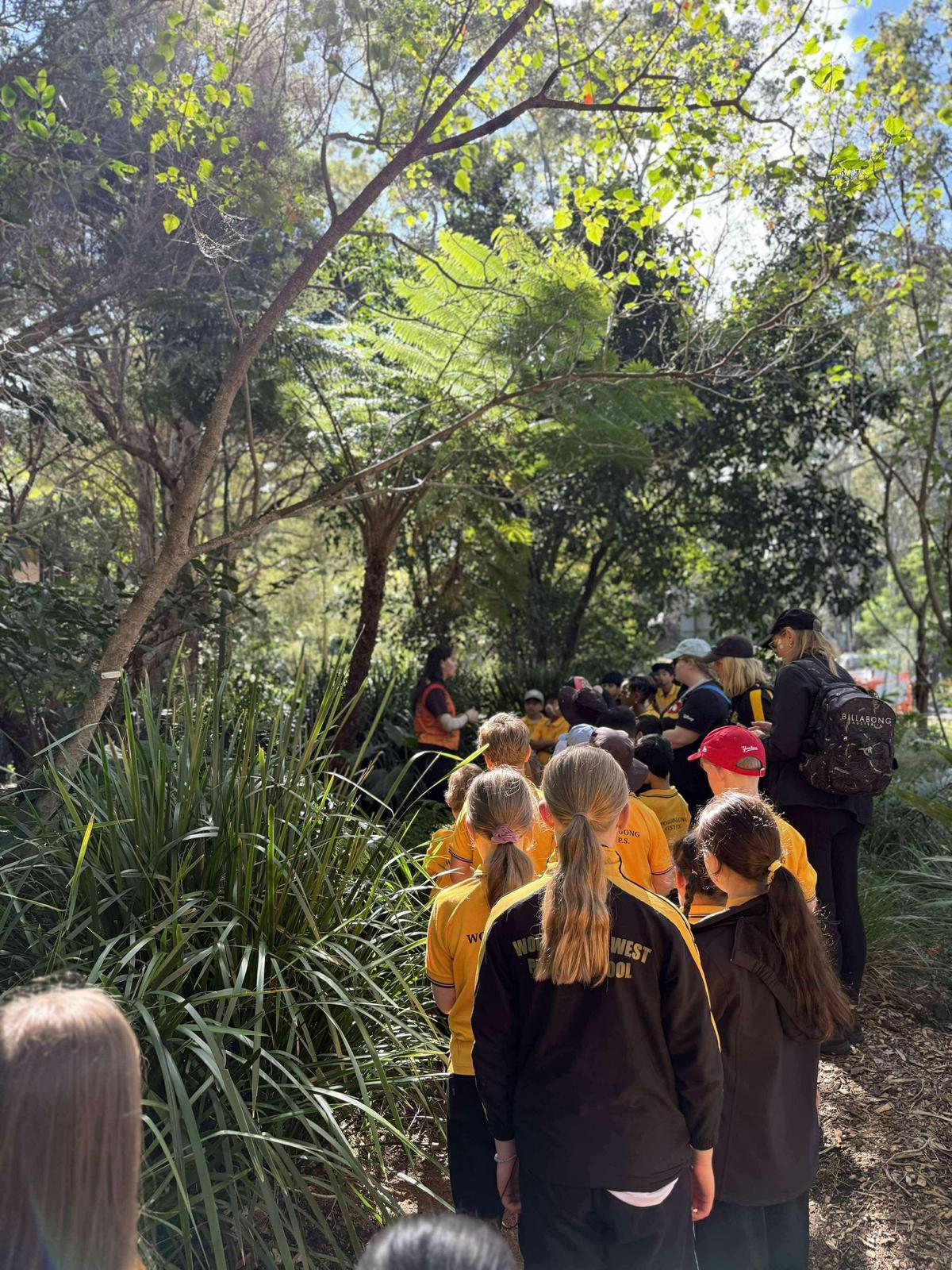 bushtucker walk