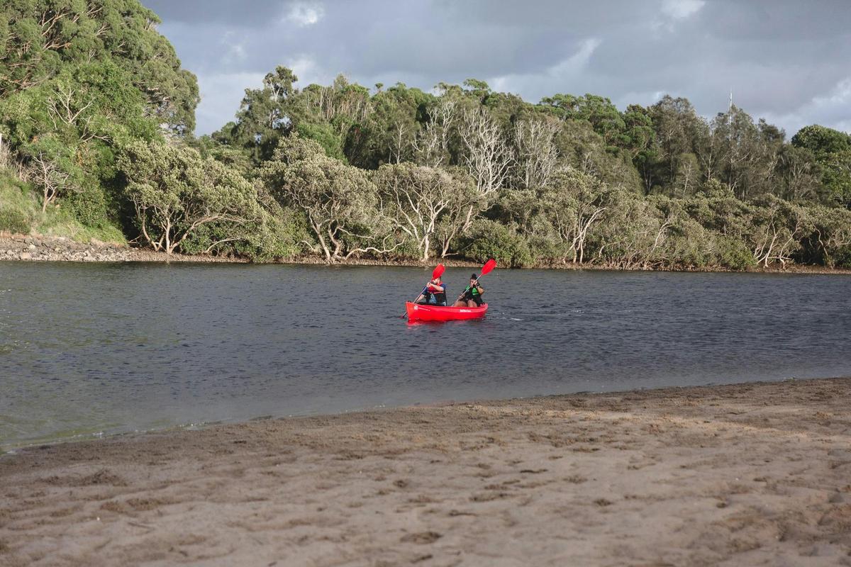 Experience the tranquility of Minnamurra River on Canoe with Aboriginal guided information .