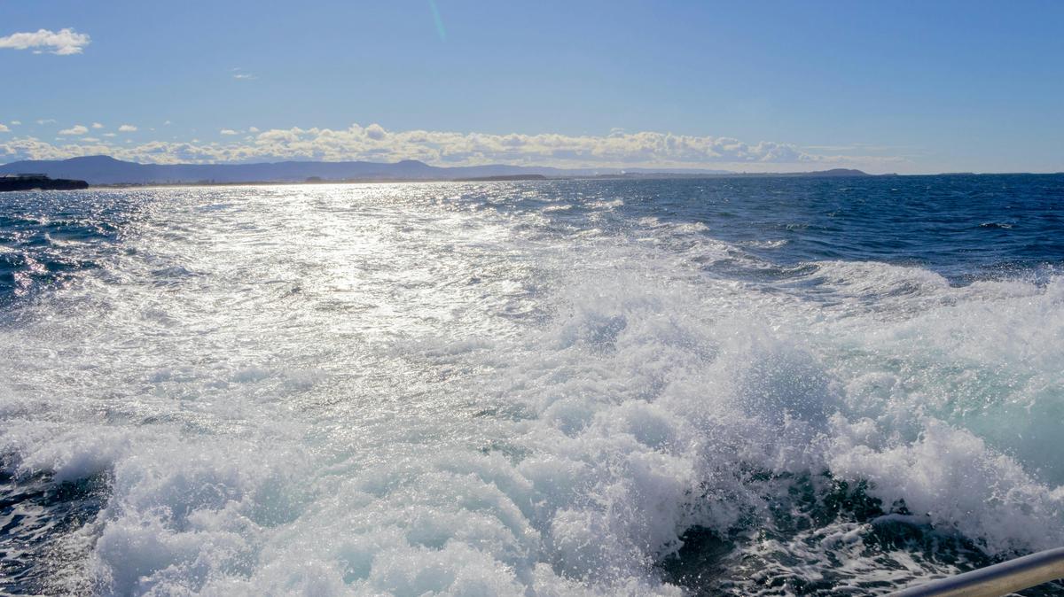 Aboriginal Cultural Whale Cruise