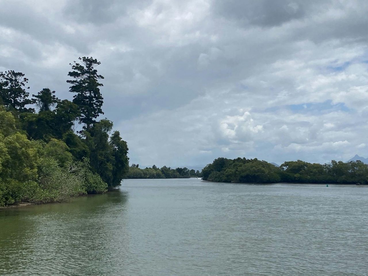 tweed river
