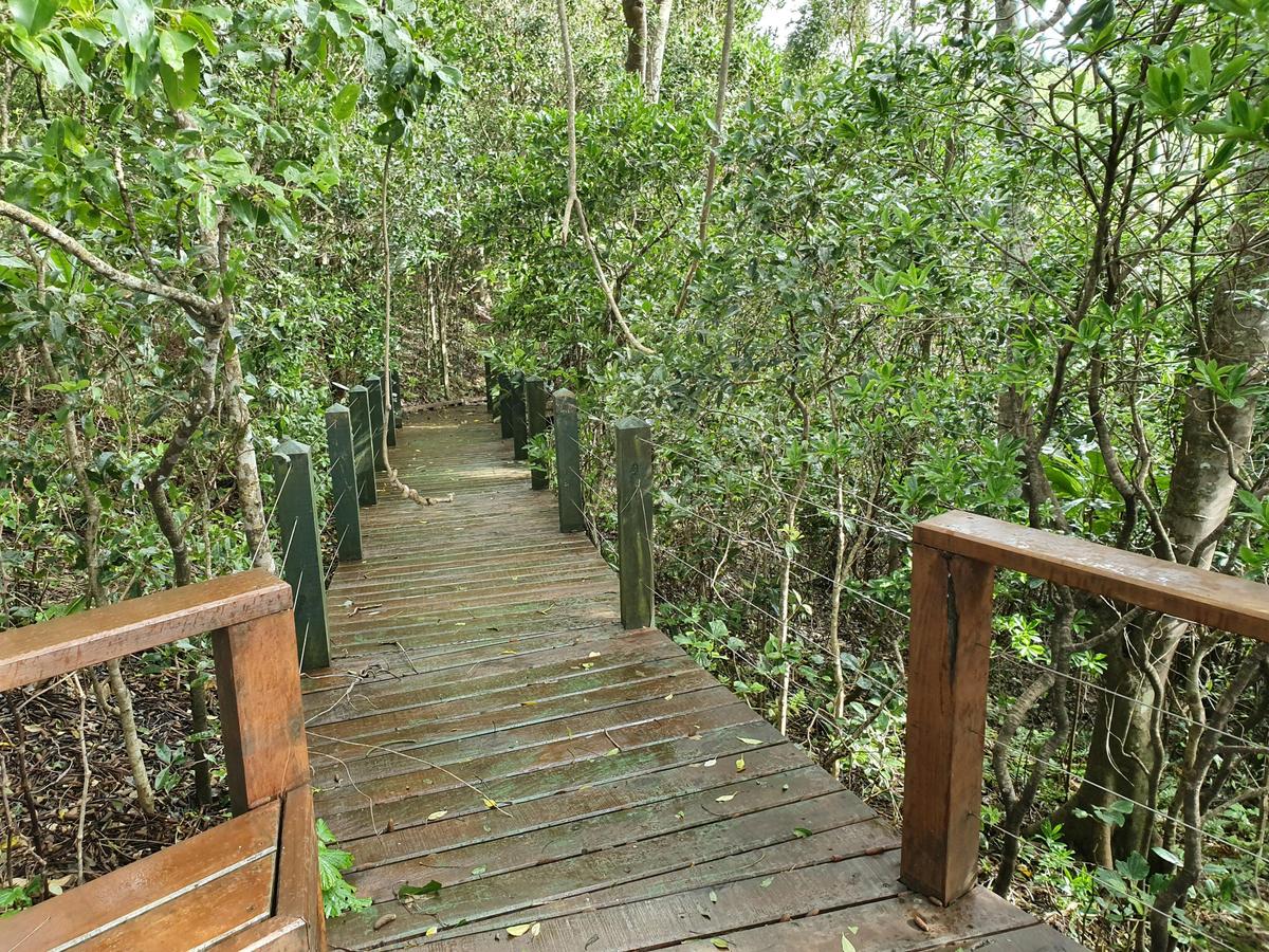Norfolk island National parks