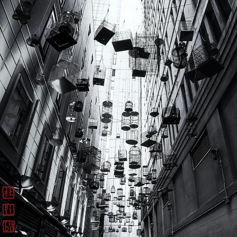 Death On The Rocks Scavenger hunt Sydney walking Tour