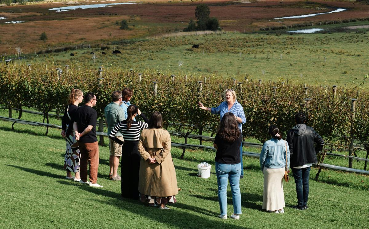 Tour and Taste