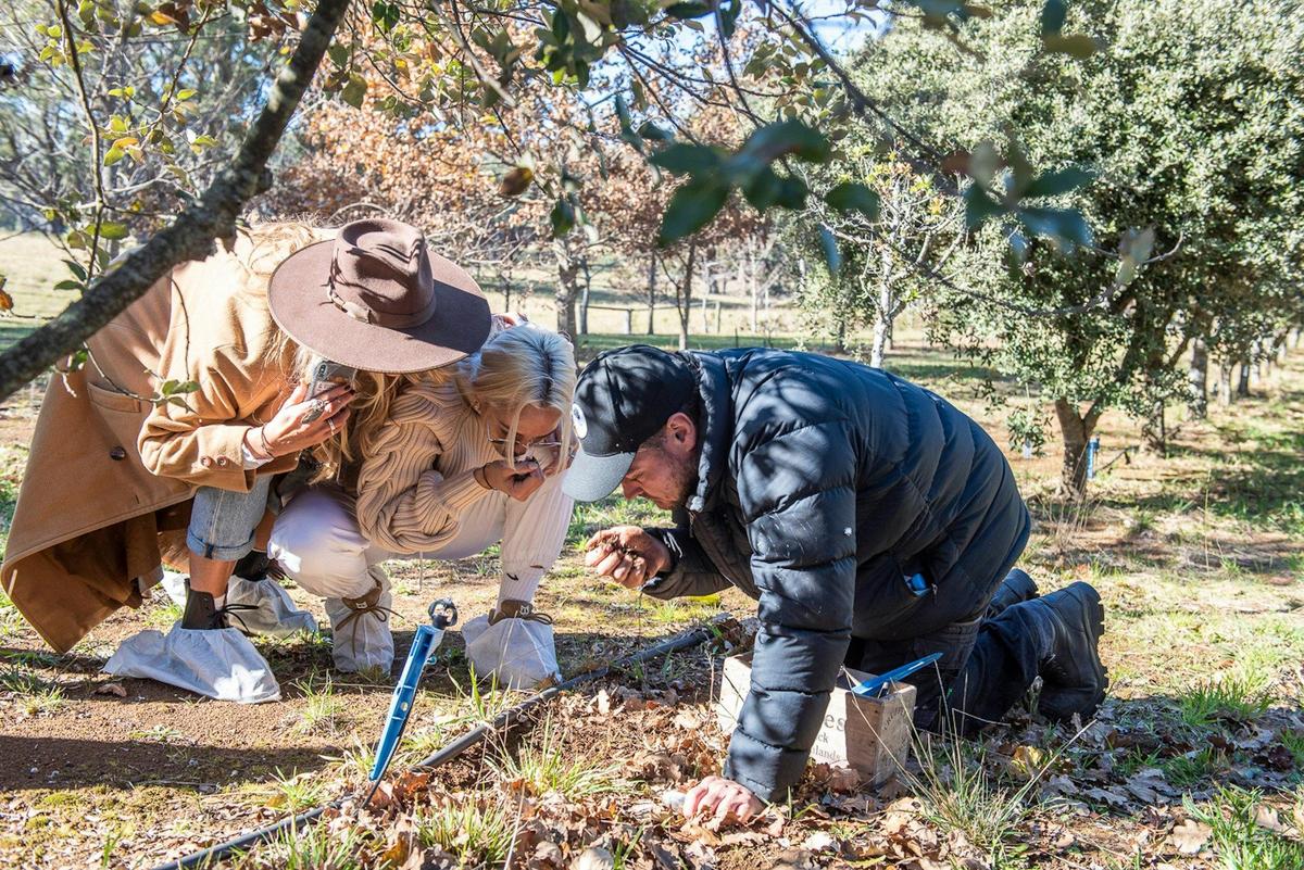 Truffle Hunting