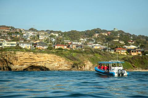 CoastXP Caves Beach