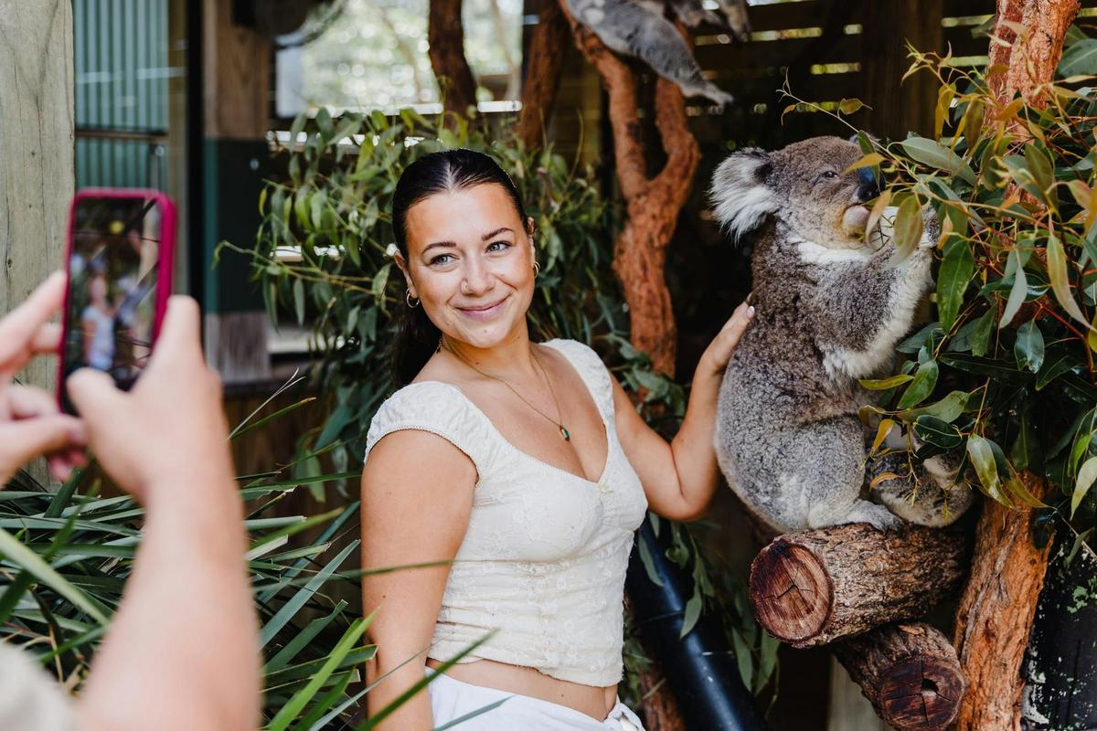 Enjoy a behind the scene koala experience with a professional zookeeper
