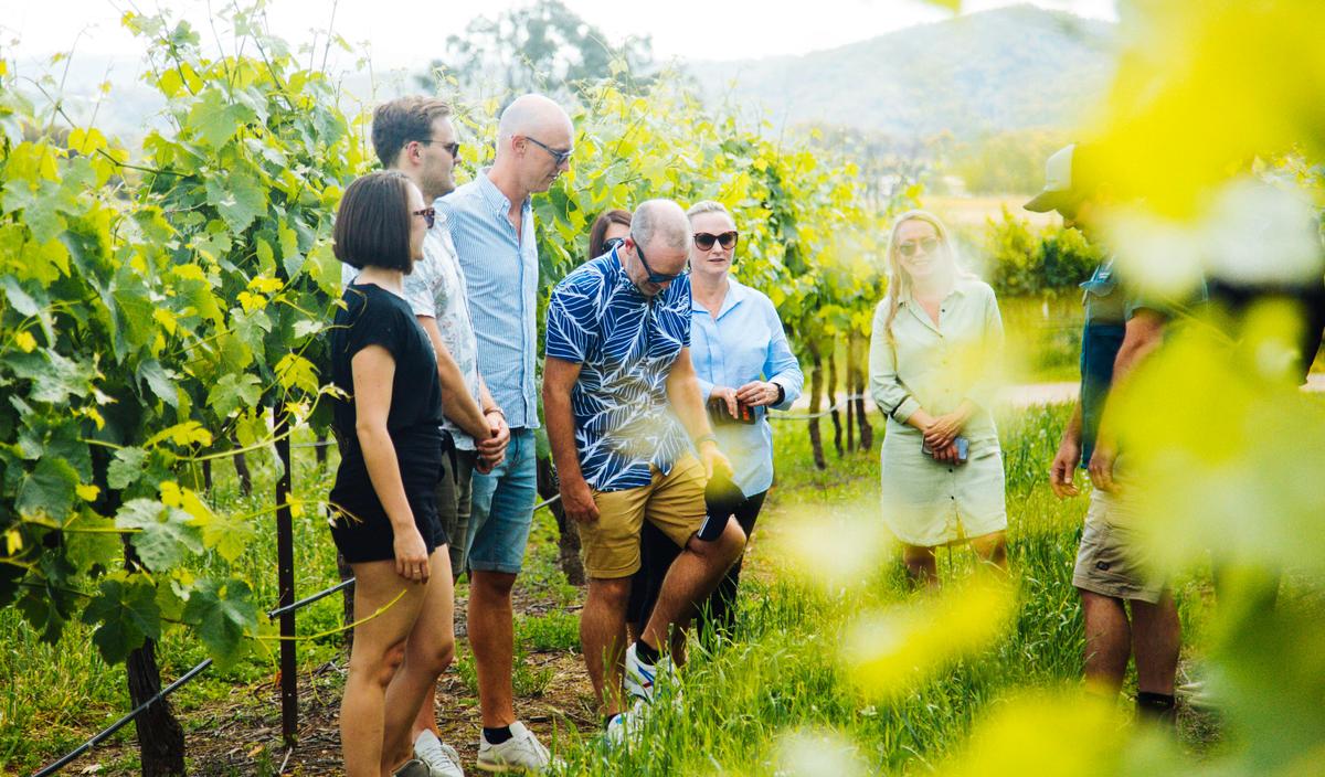 Vine to Wine experience and local produce tasting at Nashdale Lane Wines