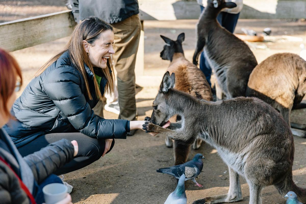 Enjoy wildlife experiences on our Blue Mountains Day Tour