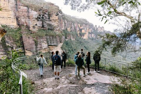 Colourful Collective Travel Sydney