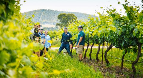 Enjoy a Behind The Scenes Experience with a local wine maker