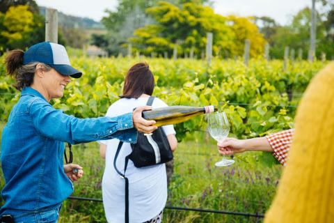 Colourful Collective Travel 4 day Wine-Along