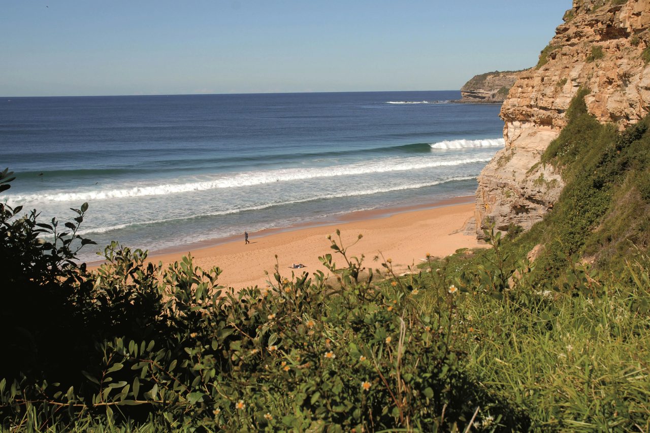 Surfing in Sydney