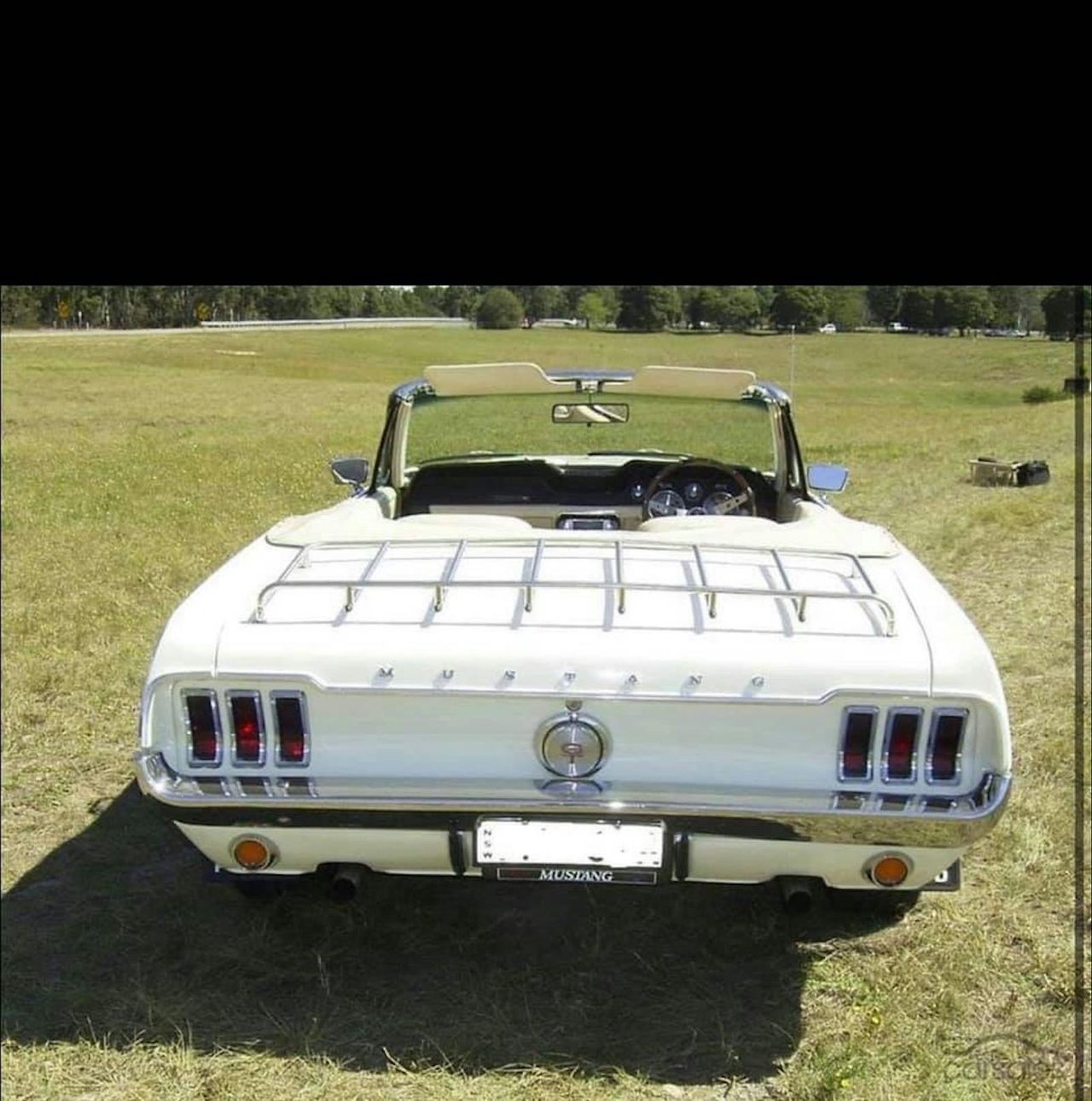 Our Magical Mustang