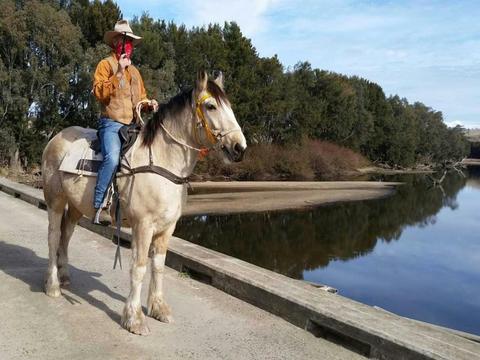 Brian Allen Bush Ranger