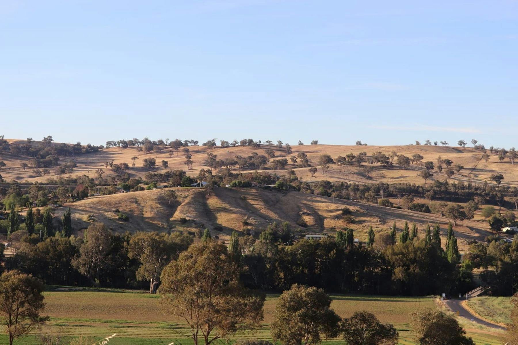 Jugiong County Experience