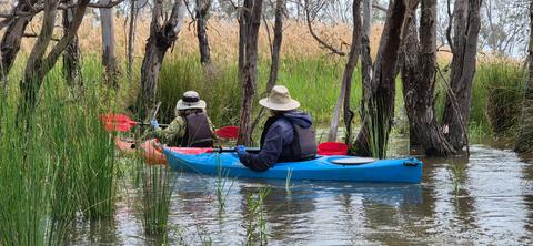Macquarie Marshes Kayak Tours