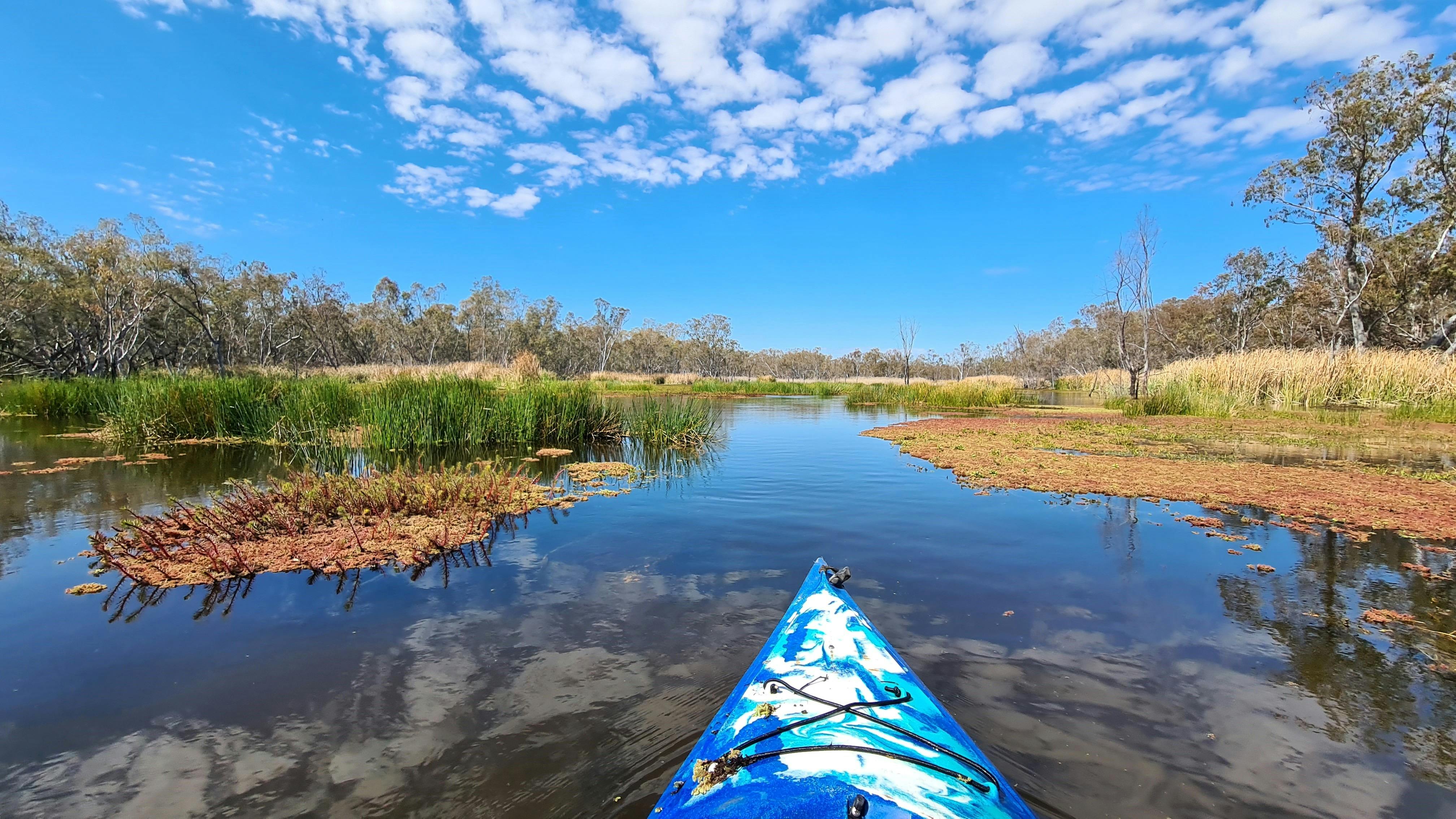 Kayaking in the Macquarie Marshes