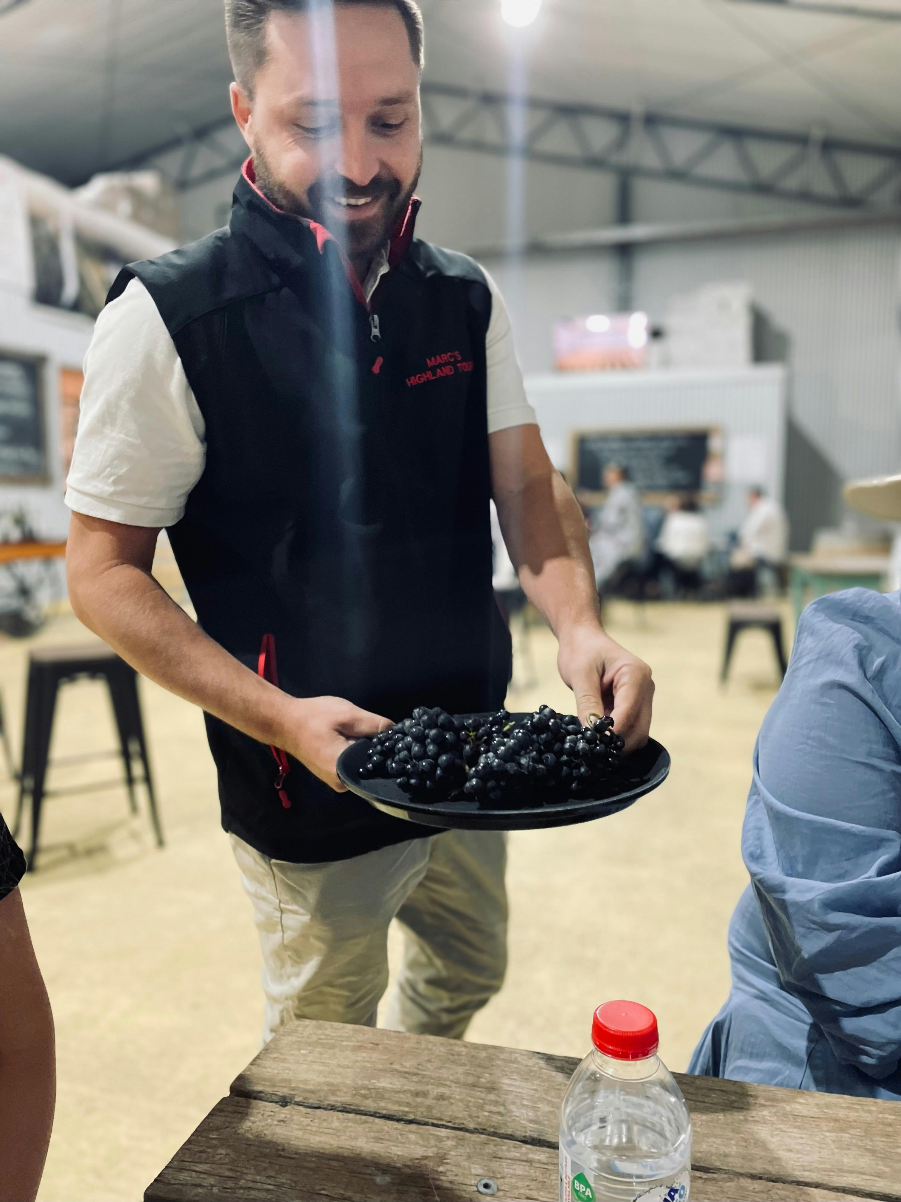 Meet your tour guide, Marc