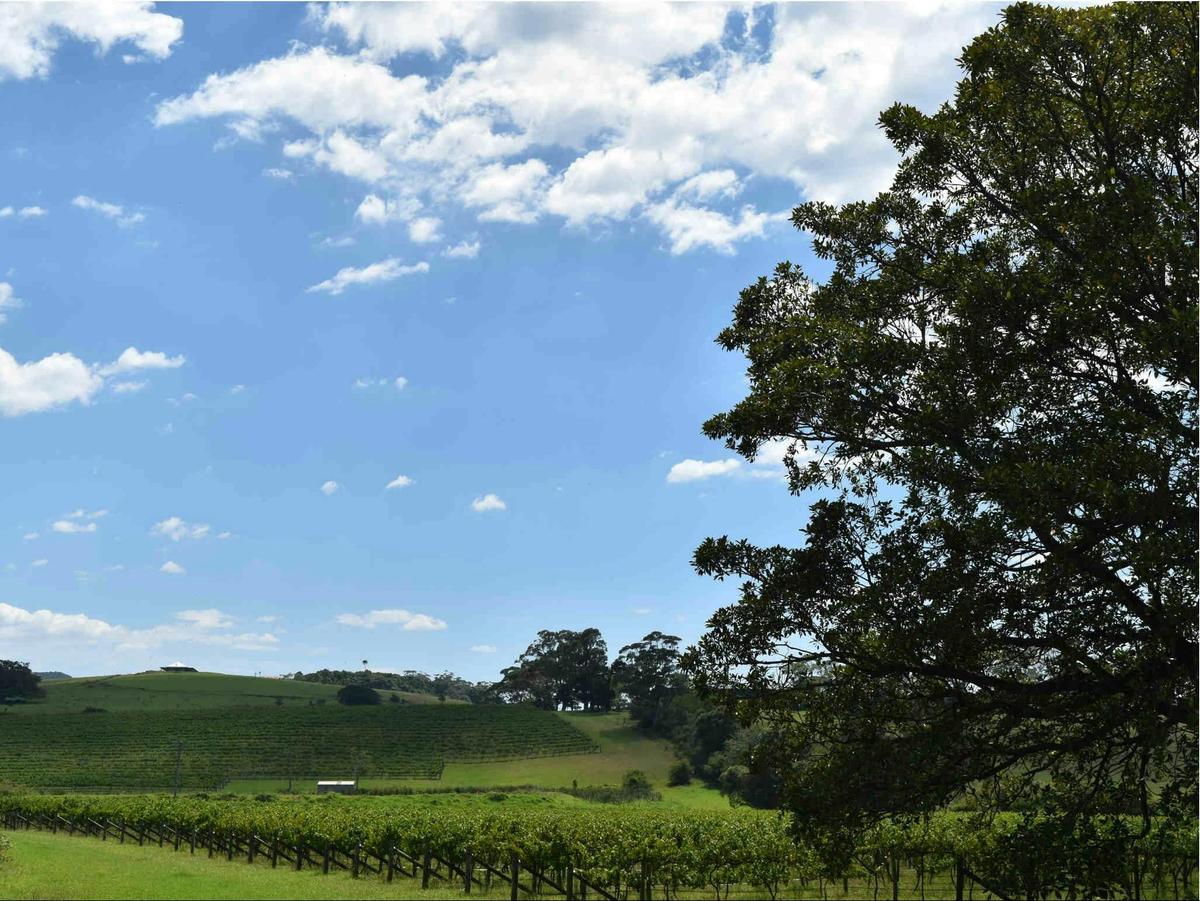 South Coast Winery- Crooked River