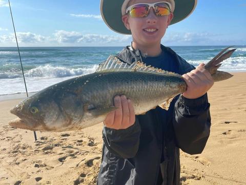 Morning each Fishing