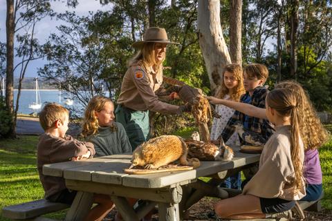 Meet our native animals as a junior ranger!
