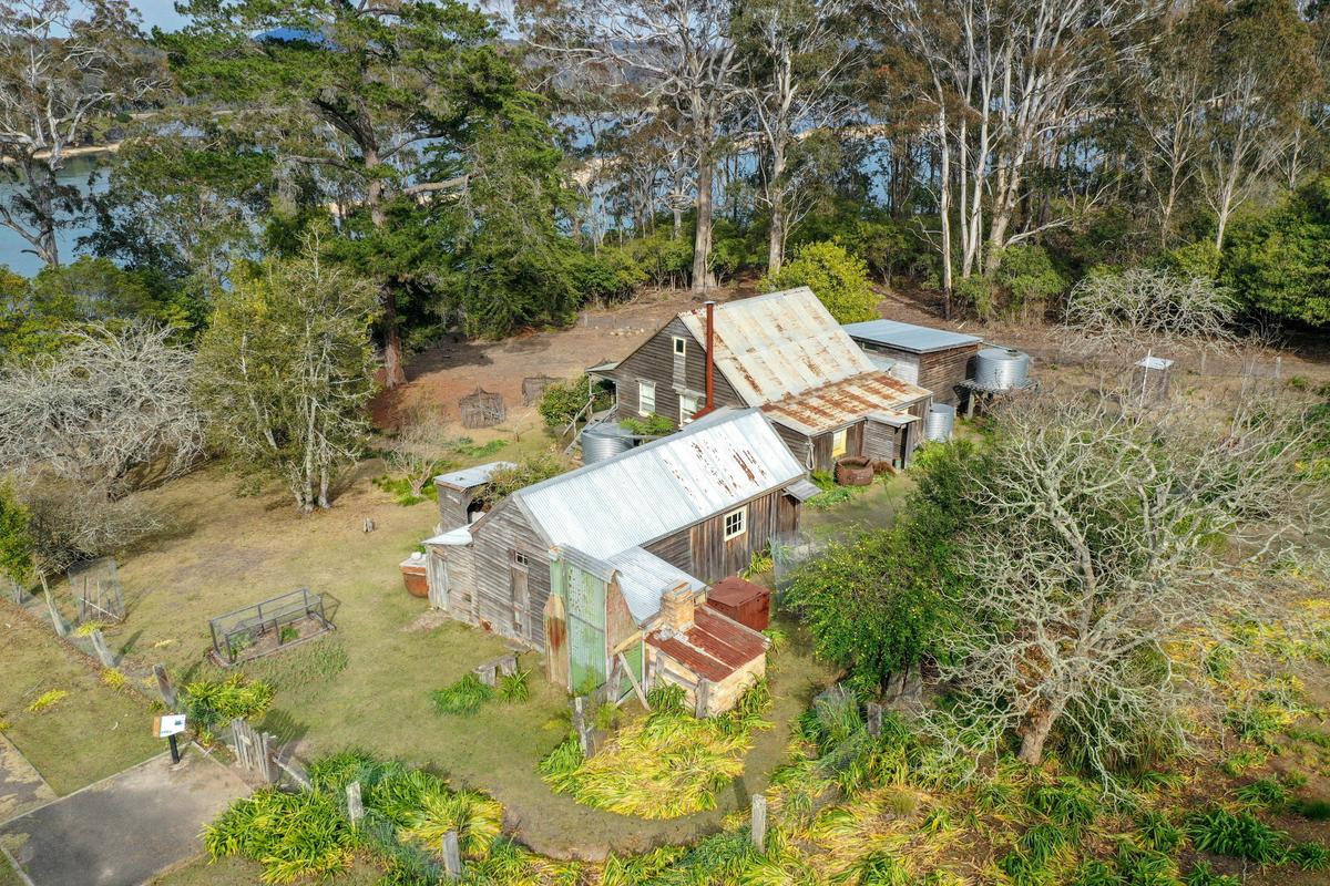 Be taken back in time on a guided tour of Davidson Whaling Station