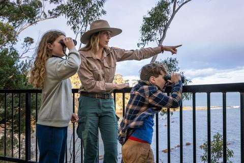Discovery Tours South Coast