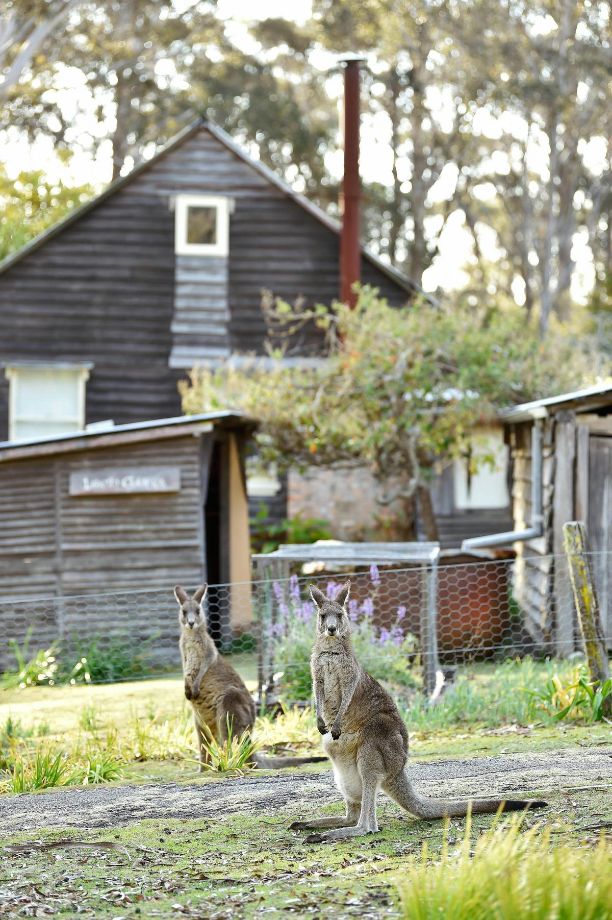 Great spot to learn history and watch wildlife!