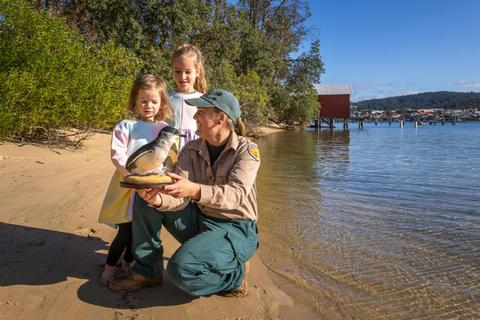 Discovery Tours South Coast