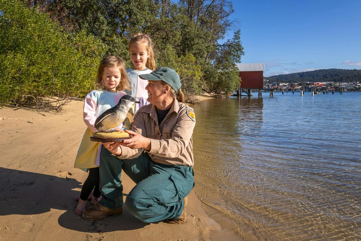 Get closer to nature on a guided Discovery Tour