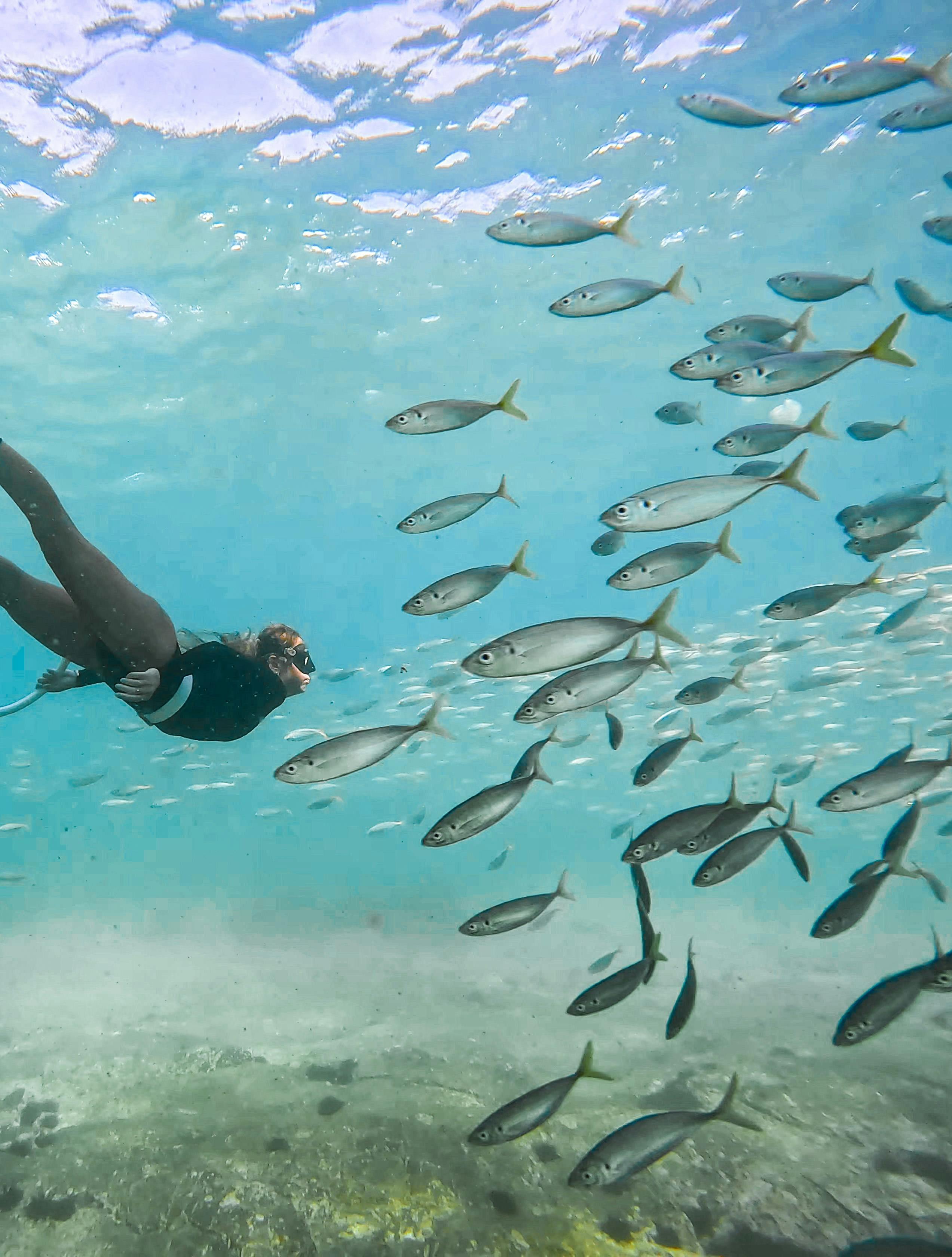 Skye Freediving The gravel Loader