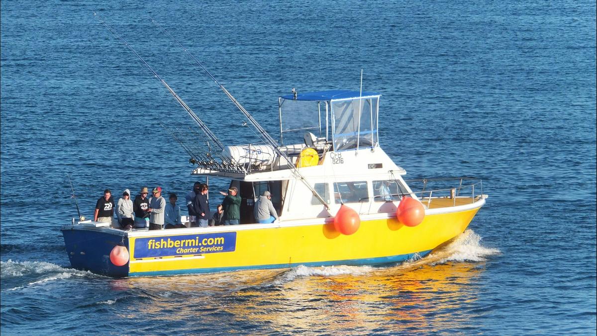fishbermi Charter