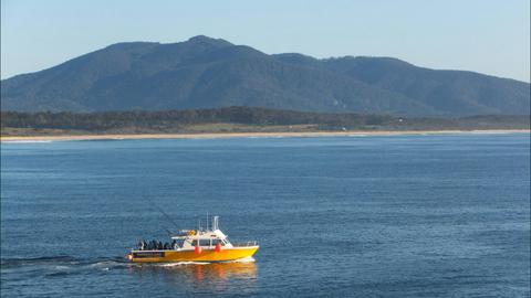 Fishbermi Charter Services